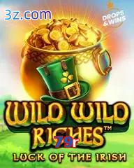 79r slot wild wild riches